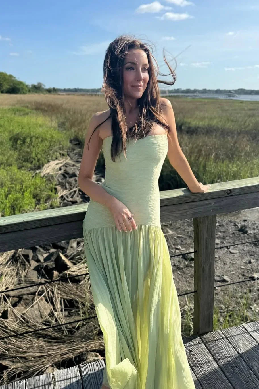 Xanthe | Pleated Fit Maxi Dress